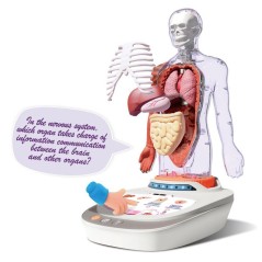 Canal Toys - So Science - Le corps humain interactif 3D avec organes a