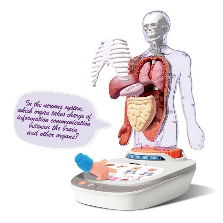 Canal Toys - So Science - Le corps humain interactif 3D avec organes amovibles et quiz éducatif - COS 005