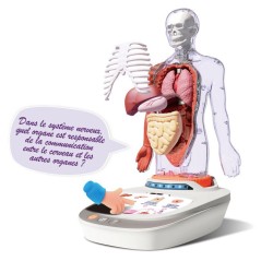 Canal Toys - So Science - Le corps humain interactif 3D avec organes a