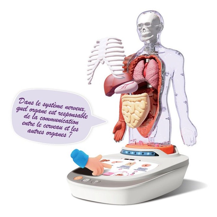 Canal Toys - So Science - Le corps humain interactif 3D avec organes amovibles et quiz éducatif - COS 005