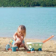 ECOIFFIER Plage 465 - Chariot Dino Garni - 18 mois - Tout transporter