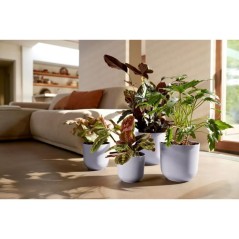 ELHO Pot de fleurs Jazz Rond - Violet - Ø 29.5 x H 27 cm - Intérieur