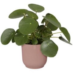 ELHO Pot de fleurs Rond VIBES - Ø25 x H23cm - Plastique - Rose poudr