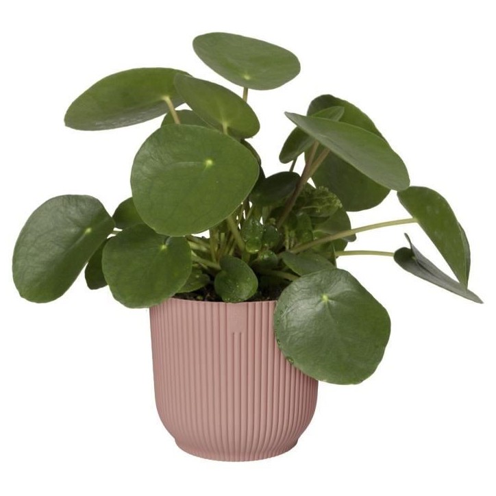 ELHO Pot de fleurs Rond VIBES - Ø25 x H23cm - Plastique - Rose poudré