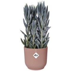 ELHO Pot de fleurs Rond VIBES - Ø25 x H23cm - Plastique - Rose poudr