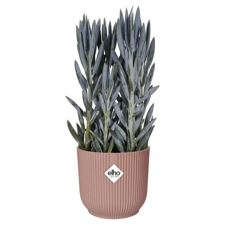 ELHO Pot de fleurs Rond VIBES - Ø25 x H23cm - Plastique - Rose poudré