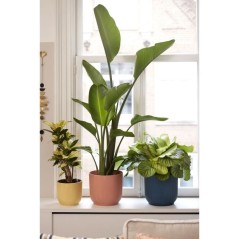 ELHO Pot de fleurs Rond VIBES - Ø25 x H23cm - Plastique - Rose poudr