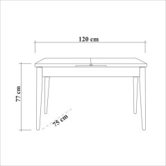 Table a manger - COSTA - Rectangulaire - 4 personnes - 120 x 77 x 75 c