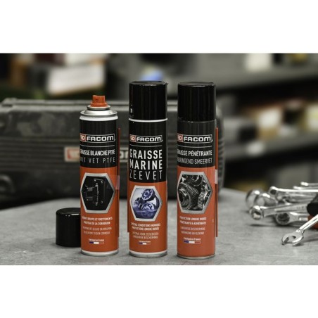 FACOM Graisse pénétrante - Résistante - Hydrophobe - 300 ml