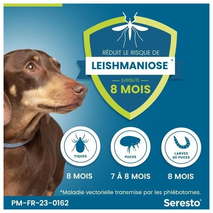 SERESTO Chien Collier Anti-Puces et Anti-Tiques -8kg 1 unité