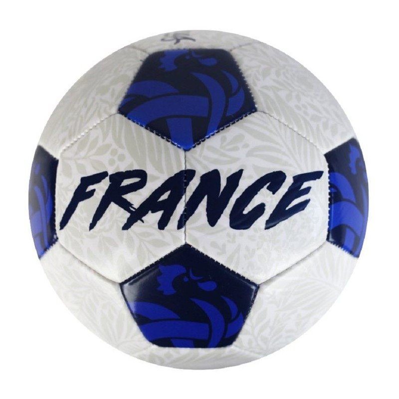 Ballon de football - FFF - Vision - T5 - 400g