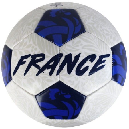Ballon de football - FFF - Vision - T5 - 400g