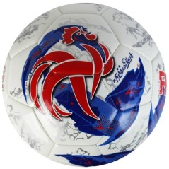 Ballon de football - FFF - TPU Gravity - T5