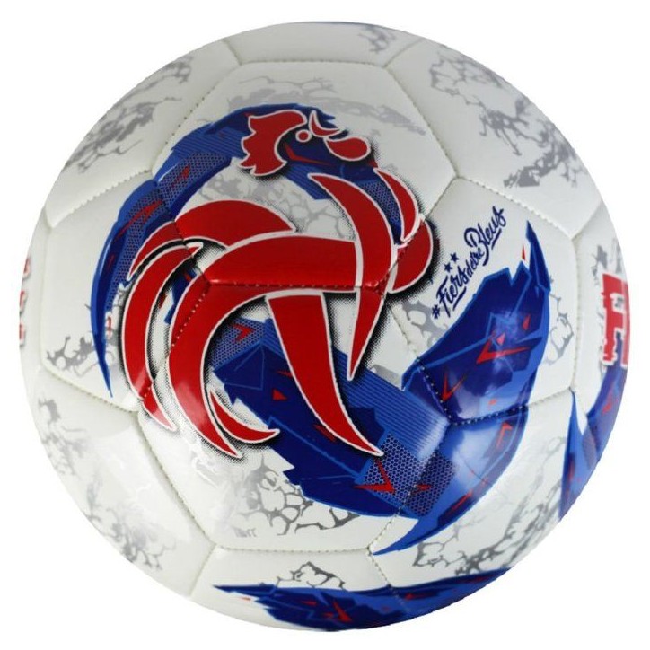 Ballon de football - FFF - TPU Gravity - T5 Ballon de football - FFF - TPU Gravity - T5