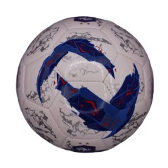 Ballon de football - FFF - TPU Gravity - T5