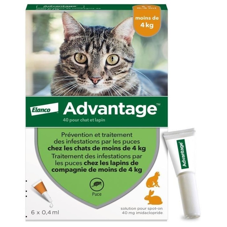 Advantage Solution Antipuce Chat Lapin 1 a 4kg 6 pipettes Advantage Solution Antipuce Chat Lapin 1 a 4kg 6 pipettes