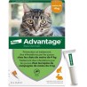Advantage Solution Antipuce Chat Lapin 1 a 4kg 6 pipettes