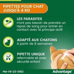Advantage Solution Antipuce Chat Lapin 1 a 4kg 6 pipettes