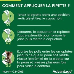 Advantage Solution Antipuce Chat Lapin 1 a 4kg 6 pipettes