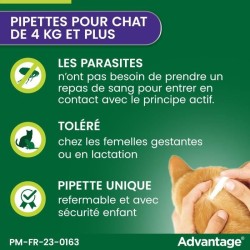 ADVANTAGE Solution Antipuce Chat Lapin +4kg 4 pipettes