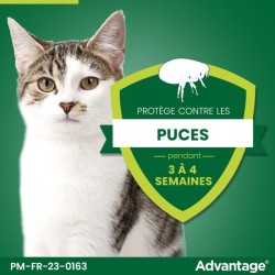 ADVANTAGE Solution Antipuce Chat Lapin +4kg 4 pipettes