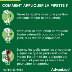 ADVANTAGE Solution Antipuce Chat Lapin +4kg 4 pipettes