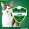 ADVANTAGE Solution Antipuce Chat Lapin +4kg 6 pipettes