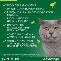 ADVANTAGE Solution Antipuce Chat Lapin +4kg 6 pipettes