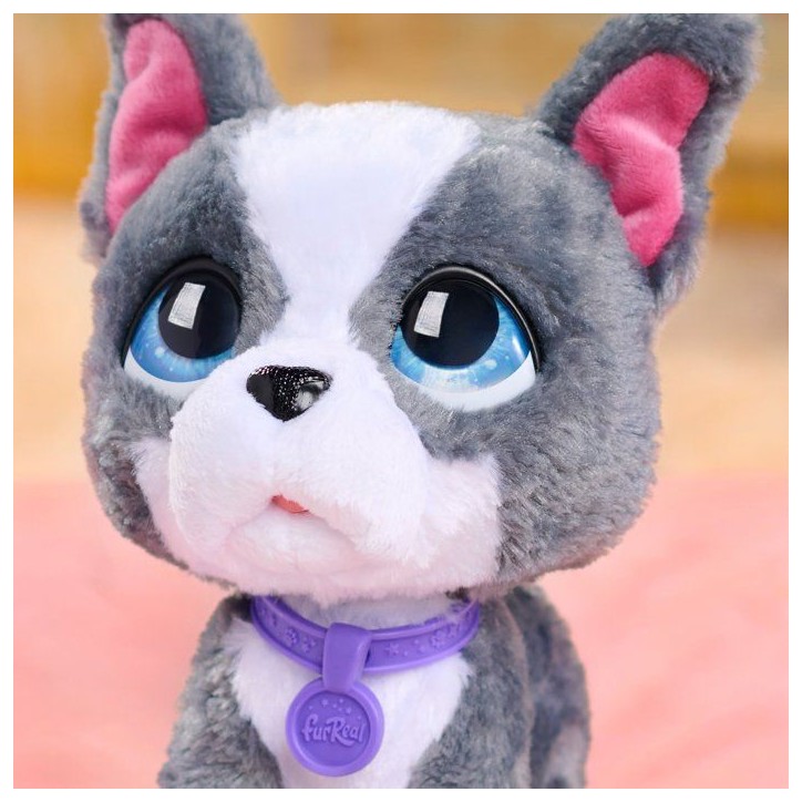 Peluche interactive Bouledogue Français, 23 cm, FURREAL FRIENDS, des 4 ans Peluche interactive Bouledogue Français, 23 cm, FURREAL FRIENDS, des 4 ans