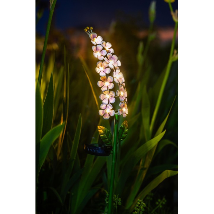 Décoration lumineuse solaire Violette - GALIX - G2622 - Métal - Hauteur 65 cm - 15 Micro LED - Blanc chaud - 3 Lumens Décoration lumineuse solaire Violette - GALIX - G2622 - Métal - Hauteur 65 cm - 15 Micro LED - Blanc chaud - 3 Lumens