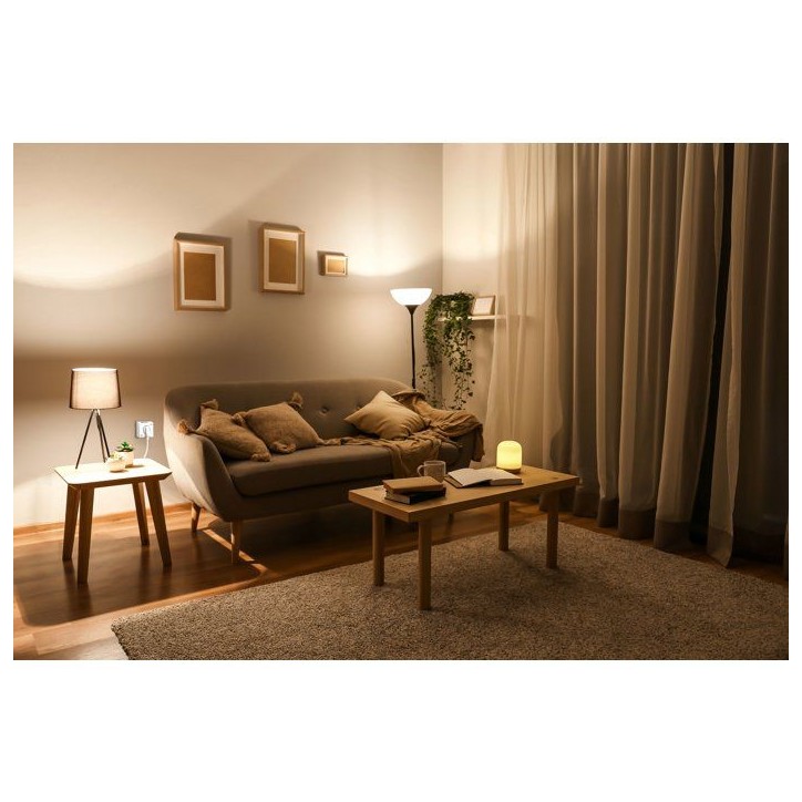 Contrôleur de consommation - GAO - Mesure W/kWh/durée - Détection des 4W - Disjoncteur intégré - 16A 3680W Contrôleur de consommation - GAO - Mesure W/kWh/durée - Détection des 4W - Disjoncteur intégré - 16A 3680W