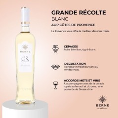 Berne Grande Récolte 2025 Côtes de Provence - Vin blanc de Provence