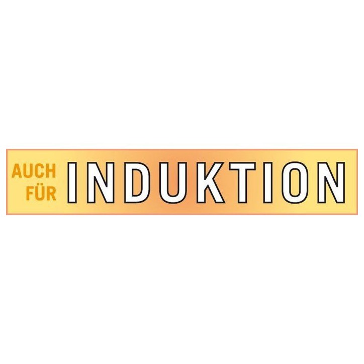 Autocuiseur - Induction - GSW - SYSTEM PLUS - 6 L - Ø 22 cm - Acier inoxydable massif 18/10 - Panier et support inclus