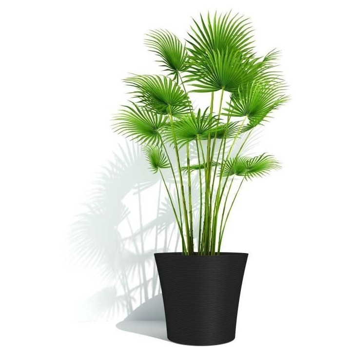 Pot de fleurs - GARDEN ID - Green Care Sense Noir-Anthracite - 30 x 27 cm - Garantie de 10 ans - 100% recyclé - Résistance UV