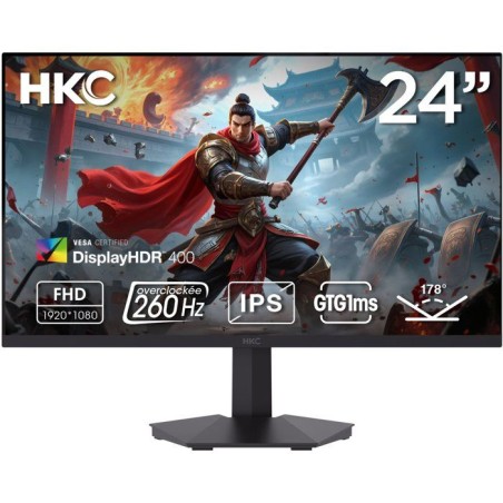 Ecran PC Gamer - HKC - 24 - FHD - 240Hz - Dalle Fast IPS - 1ms - G24H3