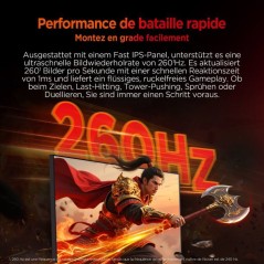Ecran PC Gamer - HKC - 24 - FHD - 240Hz - Dalle Fast IPS - 1ms - G24H3