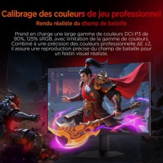 Ecran PC Gamer - HKC - 24 - FHD - 240Hz - Dalle Fast IPS - 1ms - G24H3