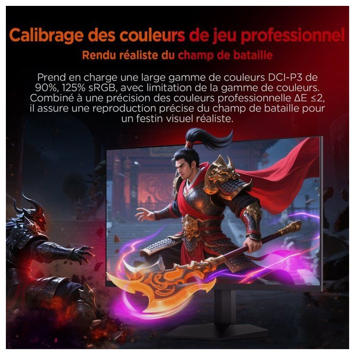 Ecran PC Gamer - HKC - 24 - FHD - 240Hz - Dalle Fast IPS - 1ms - G24H3D