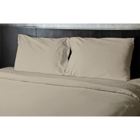 Drap plat - HOME LINGE PASSION - HP72097 - Microfibre 82 g - 240 x 300 cm - Beige ivoire