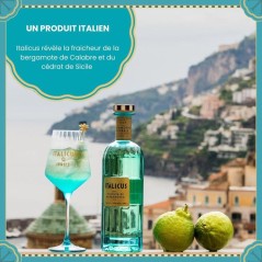 Italicus - Rosolio di Bergamotto - Liqueur - 20,0 % Vol. - 70cl