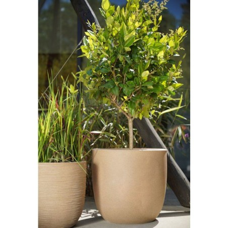Pot boule - CAPI EUROPE - Smooth NL - 43 x 41 cm - Beige