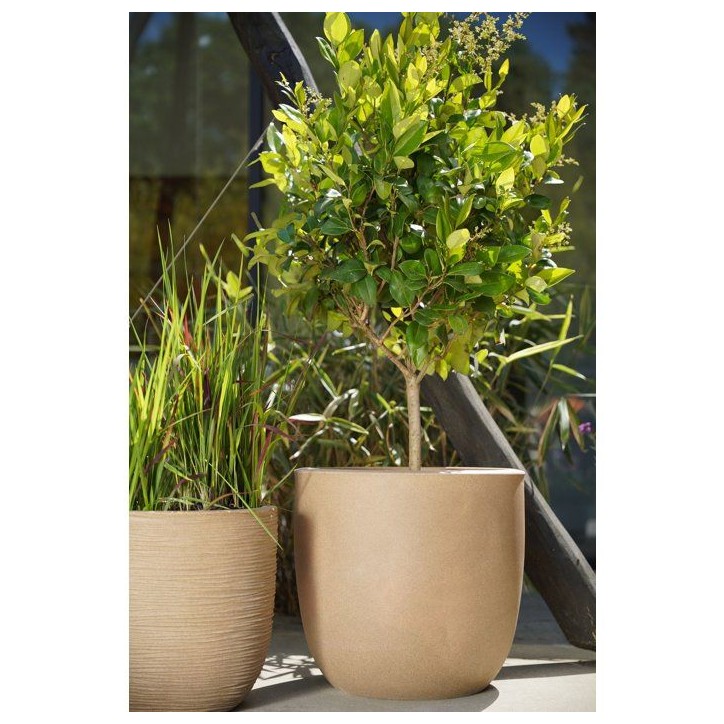 Pot boule - CAPI EUROPE - Smooth NL - 43 x 41 cm - Beige Pot boule - CAPI EUROPE - Smooth NL - 43 x 41 cm - Beige