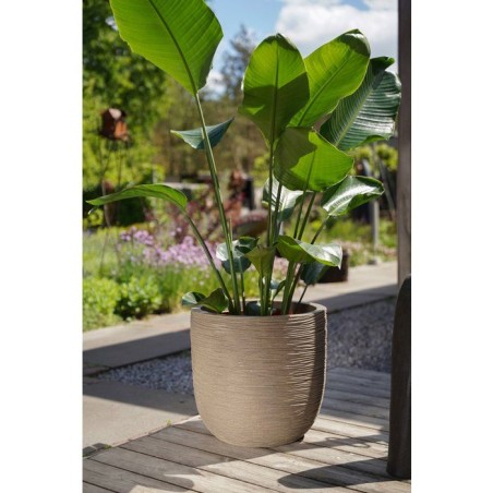 Pot boule - CAPI EUROPE - Rib NL - 43 x 41 cm - Beige