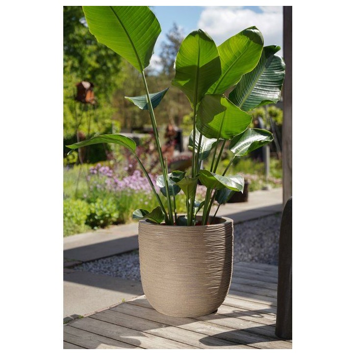 Pot boule - CAPI EUROPE - Rib NL - 43 x 41 cm - Beige Pot boule - CAPI EUROPE - Rib NL - 43 x 41 cm - Beige