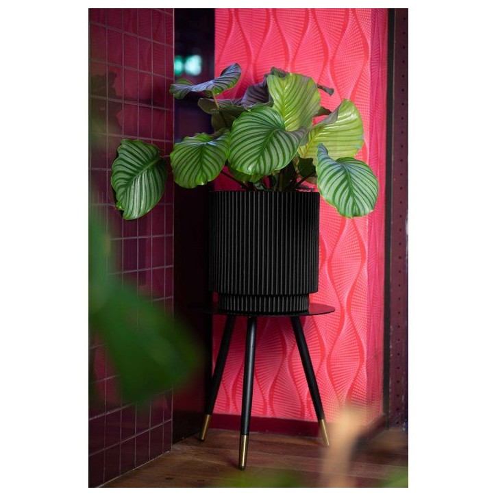Vase cylindre - CAPI EUROPE - Groove NL - 44 x 46 cm - Noir Vase cylindre - CAPI EUROPE - Groove NL - 44 x 46 cm - Noir