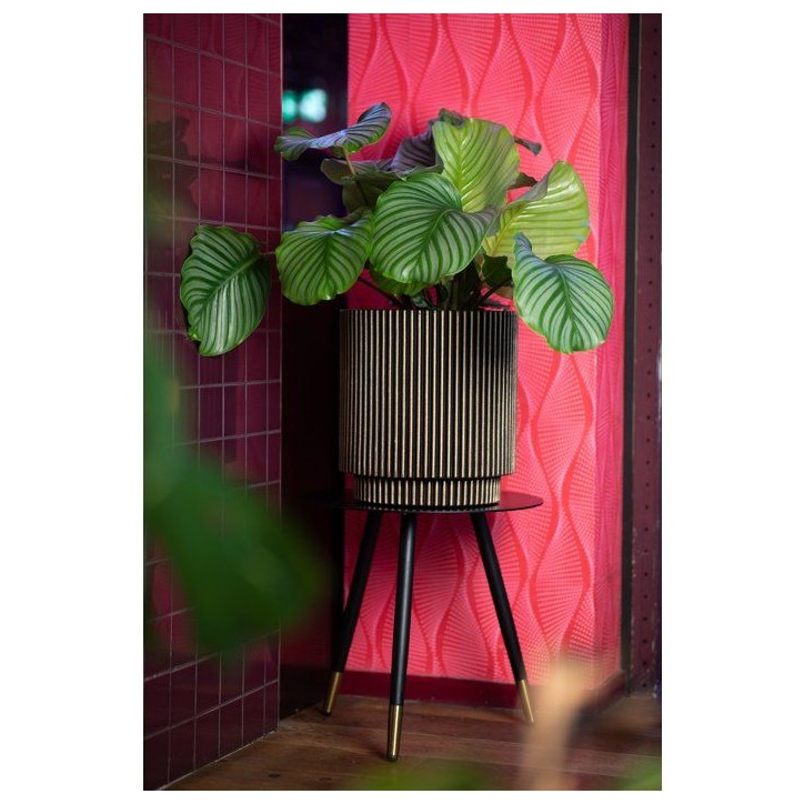Vase cylindre - CAPI EUROPE - Groove NL - 36 x 38 cm - Noir/or Vase cylindre - CAPI EUROPE - Groove NL - 36 x 38 cm - Noir/or