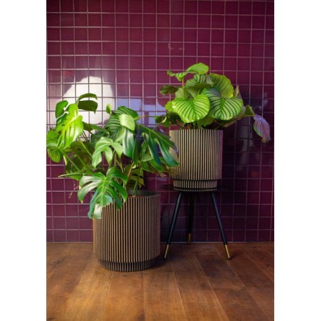Vase cylindre - CAPI EUROPE - Groove NL - 44 x 46 cm - Noir/or