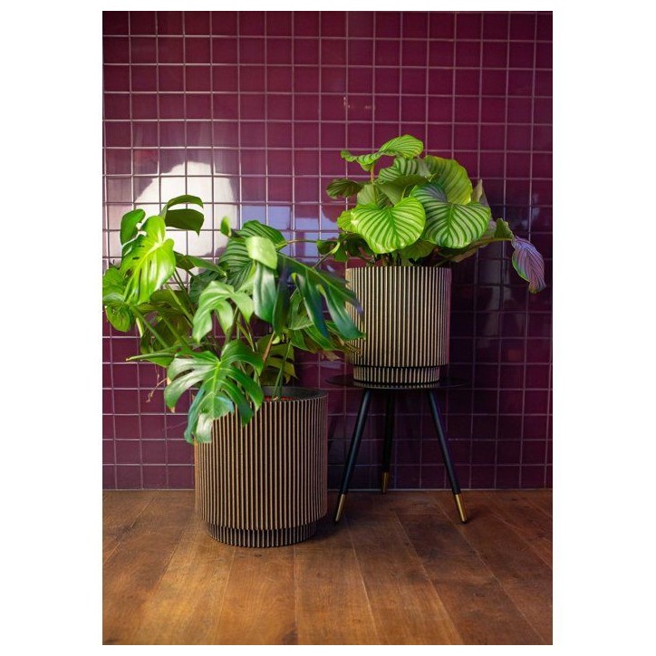 Vase cylindre - CAPI EUROPE - Groove NL - 44 x 46 cm - Noir/or Vase cylindre - CAPI EUROPE - Groove NL - 44 x 46 cm - Noir/or