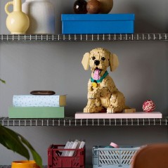 LEGO Icons 11384 Le Chiot Golden Retriever - Set pour Adulte - Maquett