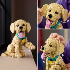 LEGO Icons 11384 Le Chiot Golden Retriever - Set pour Adulte - Maquett